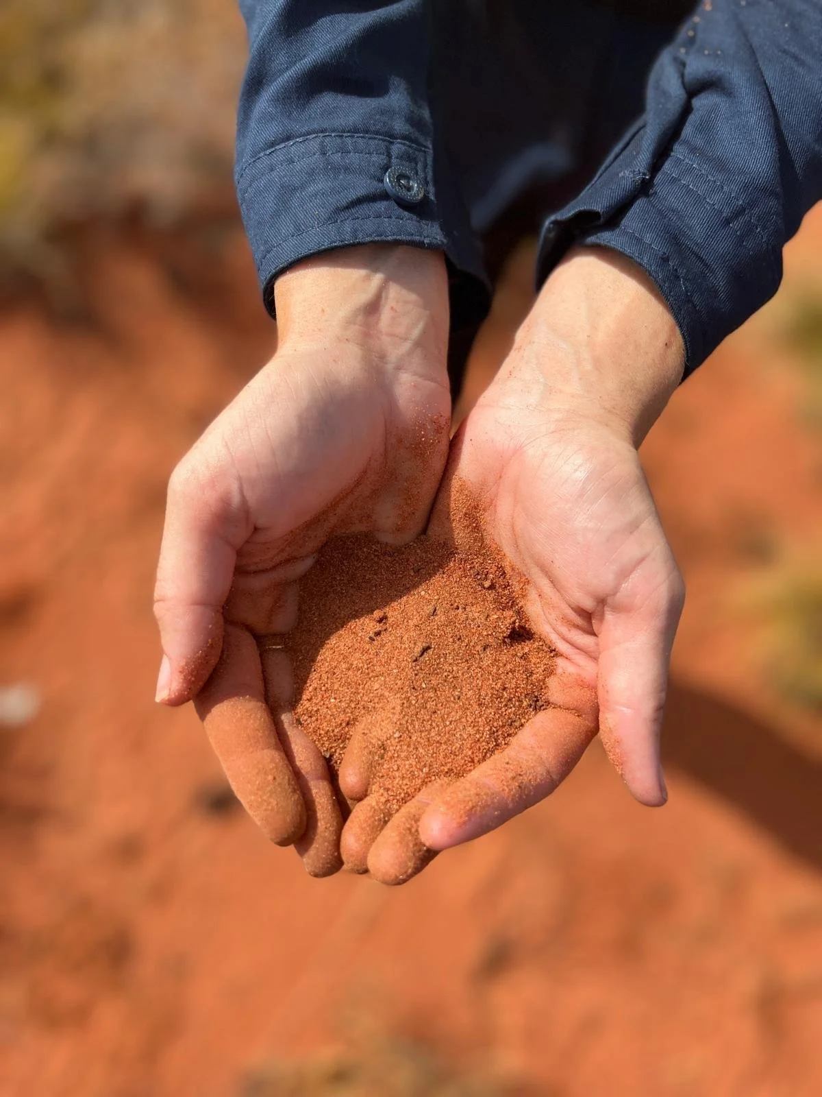 Cupped hands holding iron-rich red soil during sampling